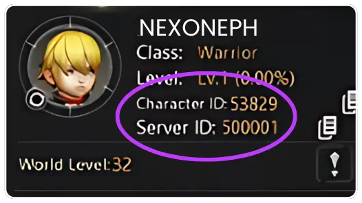 Instruction Dragon Nest M Classic