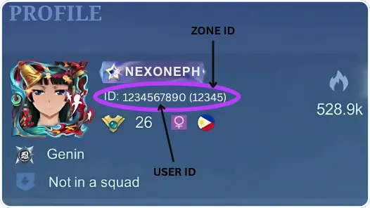 Instruction Mobile Legends PH and GLOBAL